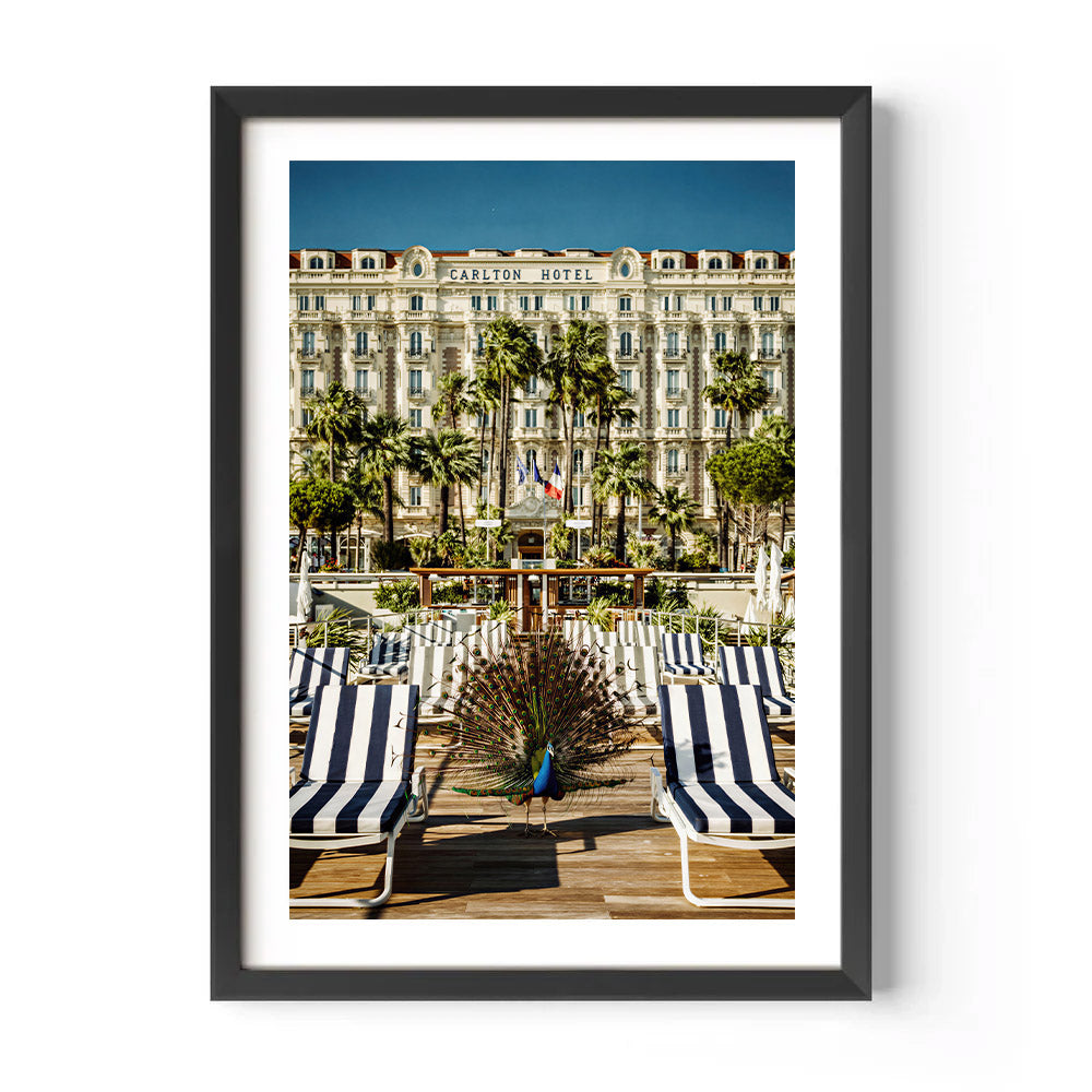 Carlton, Cannes
