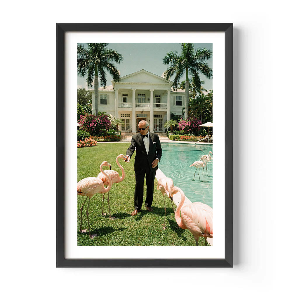 Framed photo of a man interacting with flamingos in a luxurious garden setting.