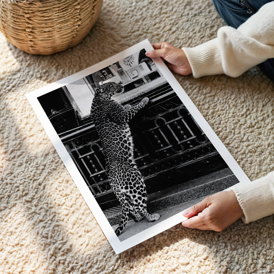 Person holding a black and white photo of a leopard on a staircase