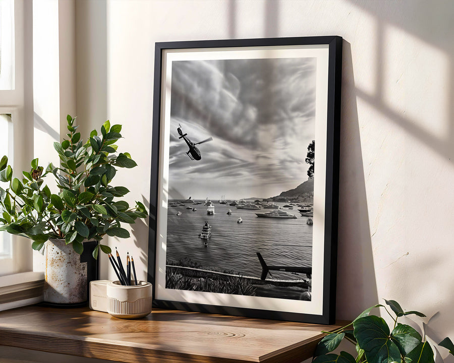Framed black and white artwork on a wooden shelf with plants