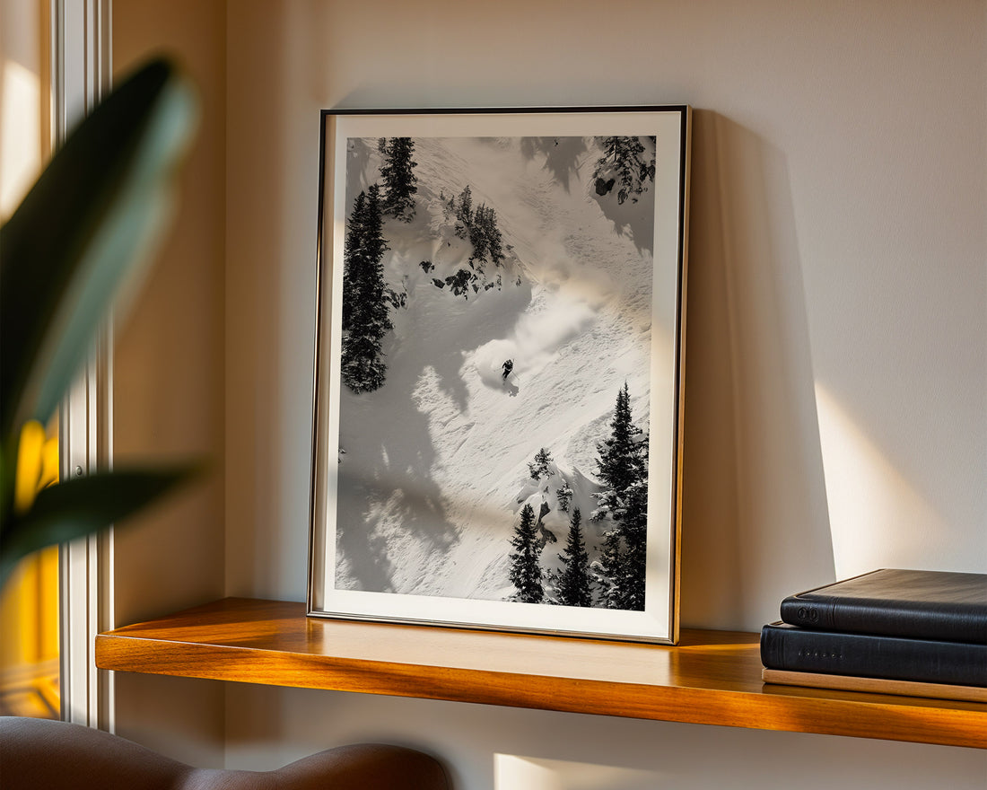 Framed black and white landscape print on a wooden shelf with books and a plant.