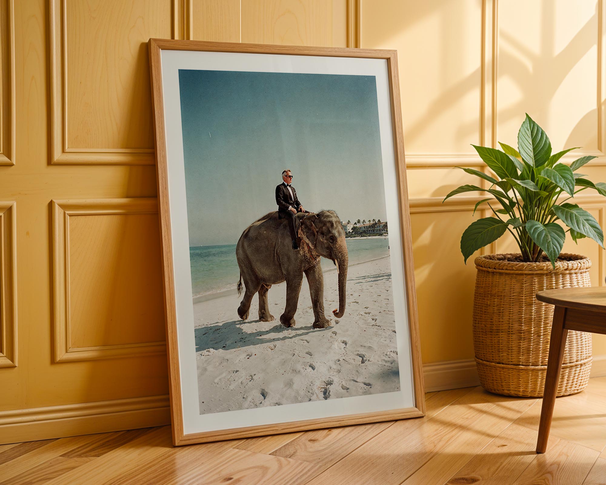 Framed photograph of a man riding an elephant on a beach, leaning against a wooden wall with a plant beside it.