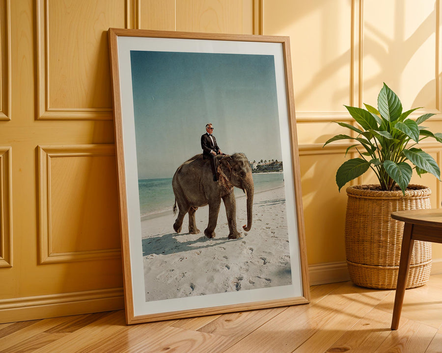 Framed photograph of a man riding an elephant on a beach, leaning against a wooden wall with a plant beside it.