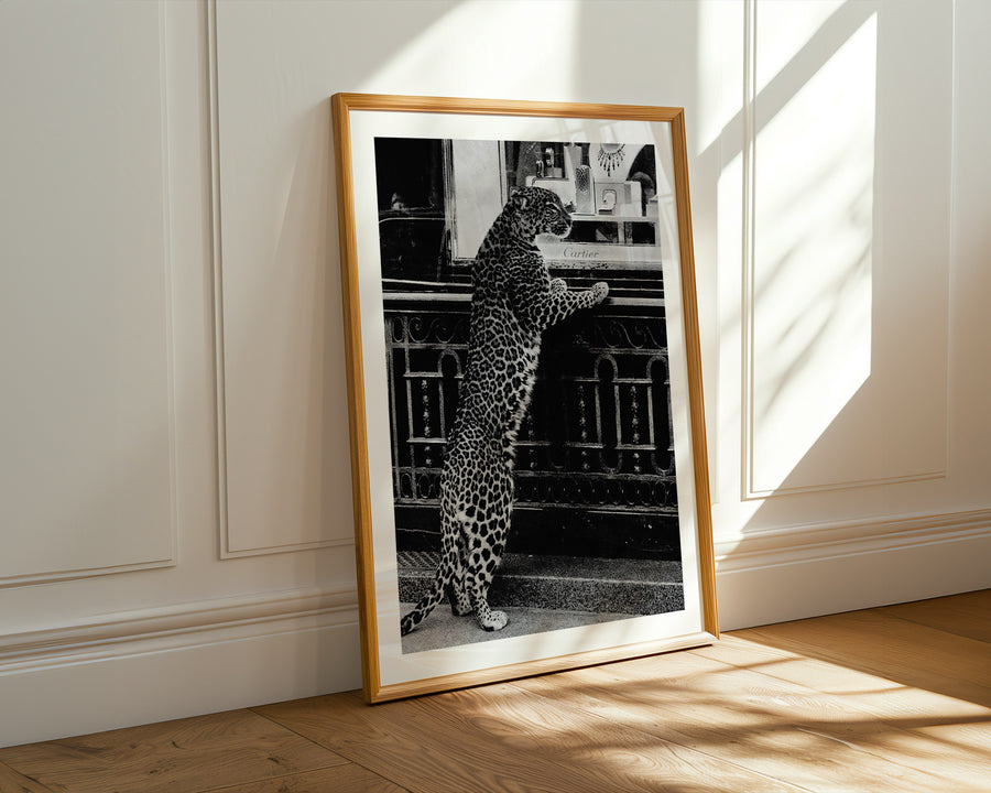 Framed artwork of a leopard on a wall with sunlight casting shadows.