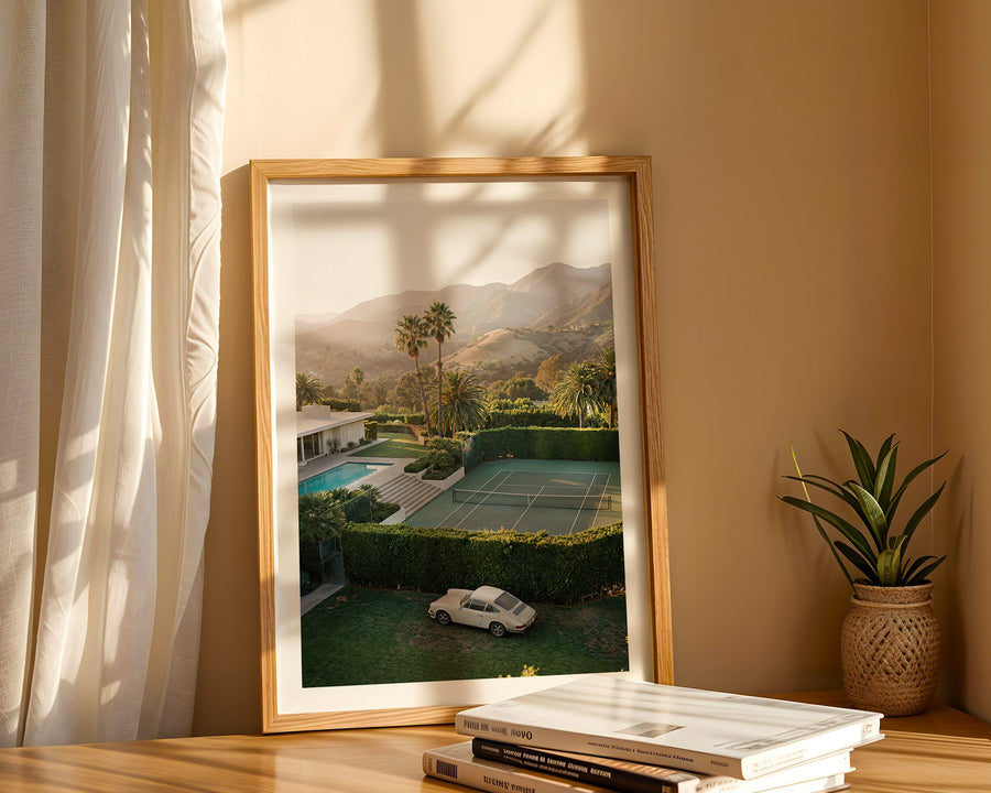 Framed artwork of a scenic view with mountains and pool, placed on a surface with books and a plant.