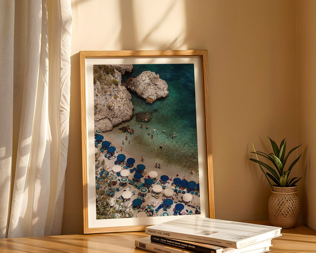Framed beach photograph on a shelf with books and a plant
