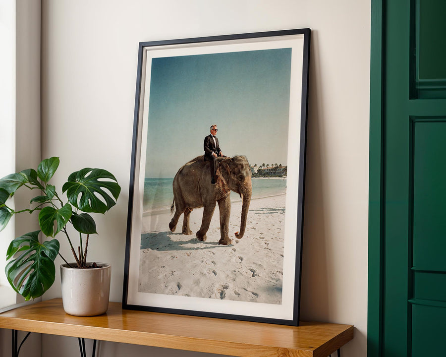 Framed photograph of a man riding an elephant on a beach, placed on a wooden shelf with a plant beside it.