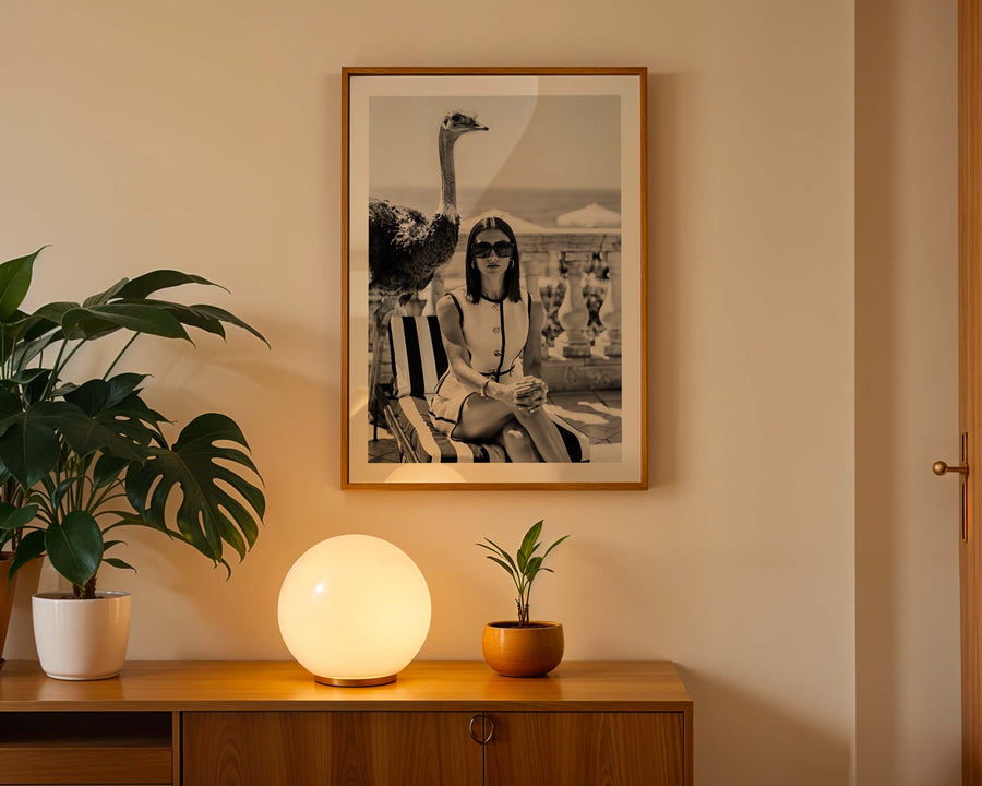 Framed picture of a woman with an ostrich on a wall above a wooden cabinet with decorative items.