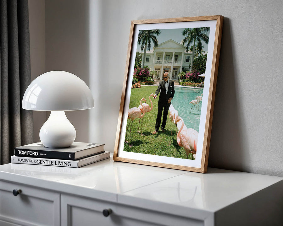 Framed photograph of a man with flamingos on a shelf next to a white lamp and books.