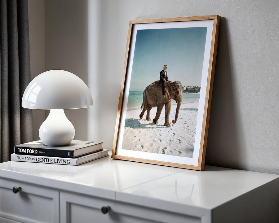 Framed photograph of a person riding an elephant on a beach next to a white lamp and books on a shelf.