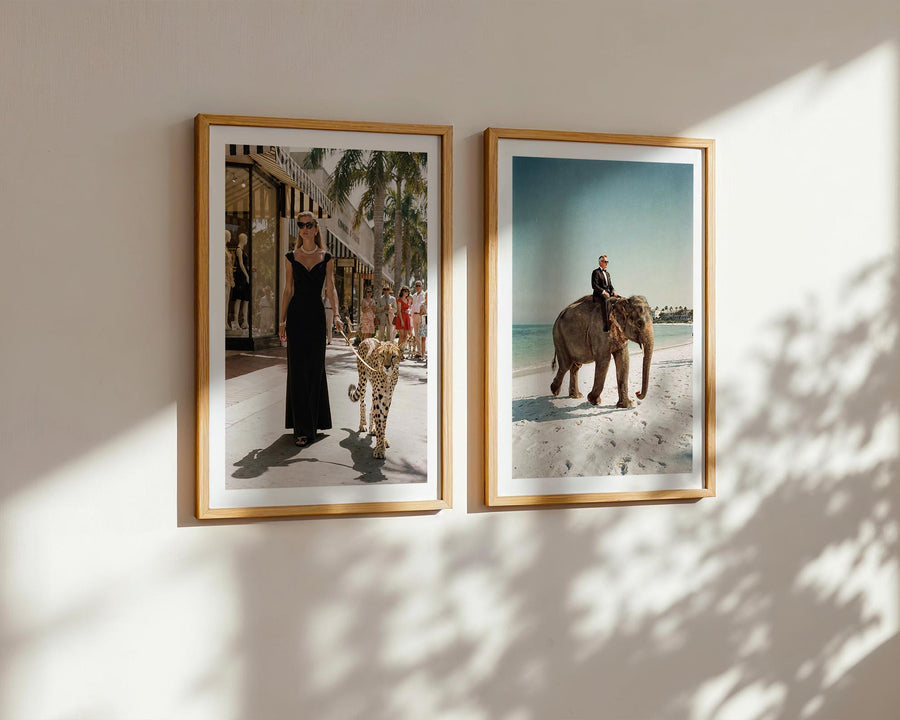 Two framed photographs on a wall, one with a woman in a black dress and another with a person on an elephant.