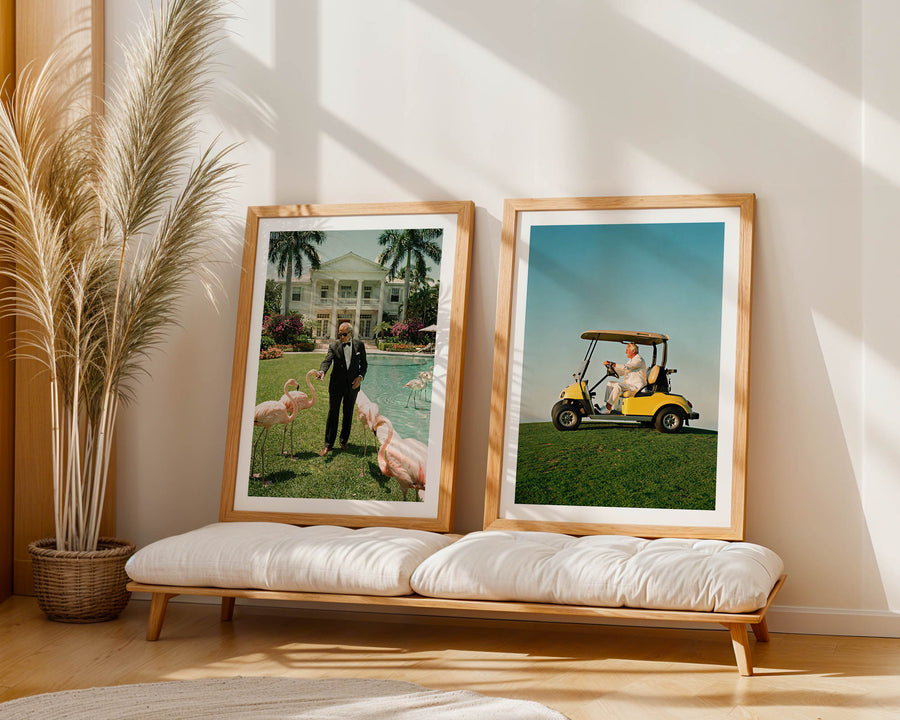 Two framed pictures on a wooden bench with a plant in the background