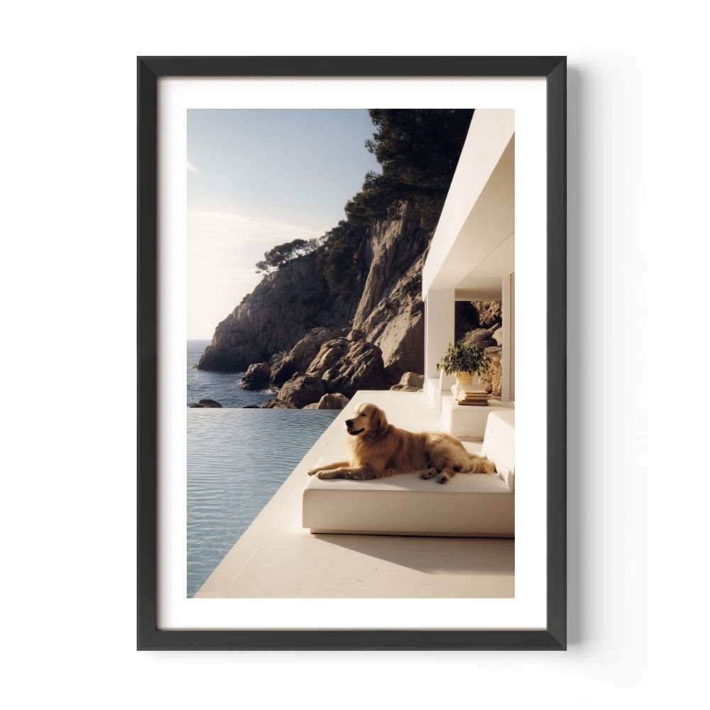 Framed photograph of a dog lying on a sunlit terrace with a scenic view.