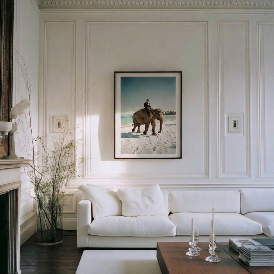 Living room with white walls, a white sofa, and a framed picture of a person on an elephant.
