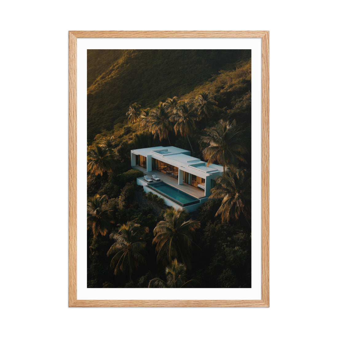 Modern Villa in the Tropics Poster