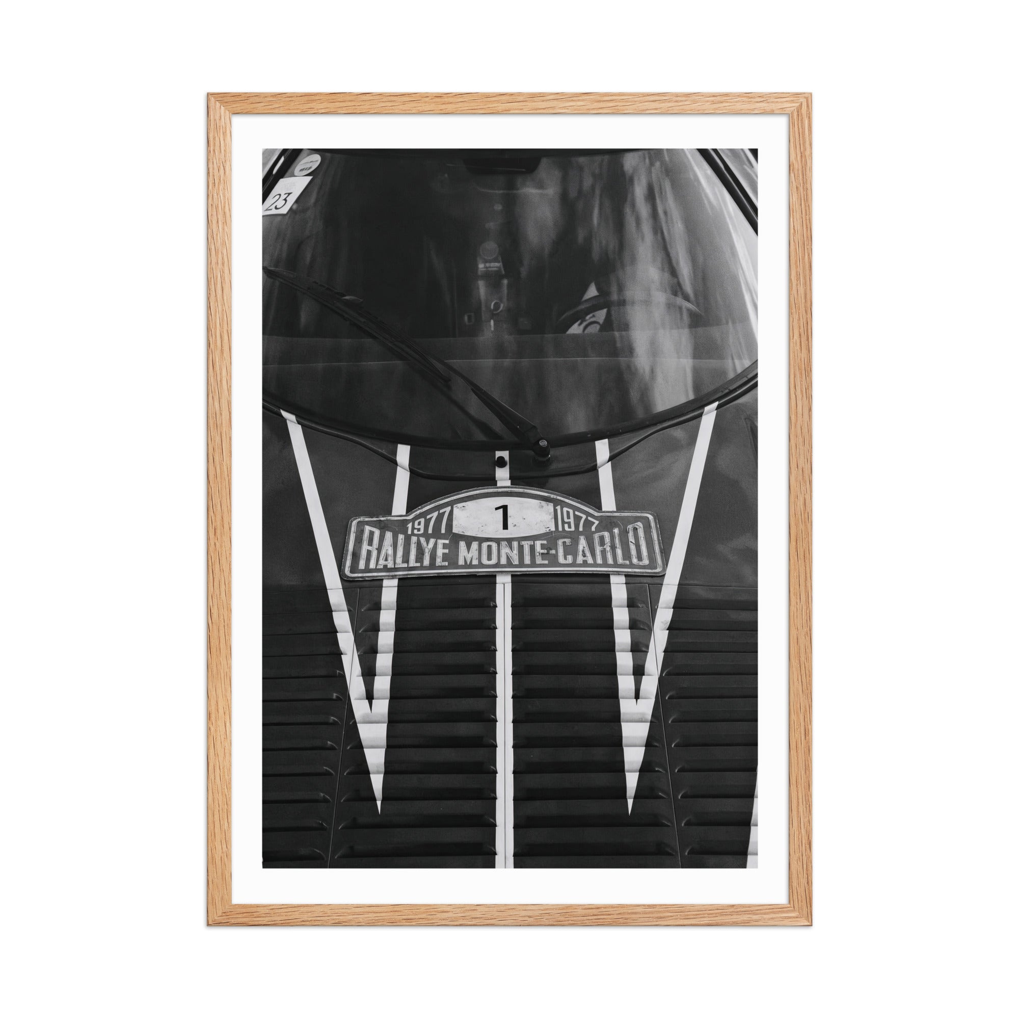 Monte Carlo Rally 1977