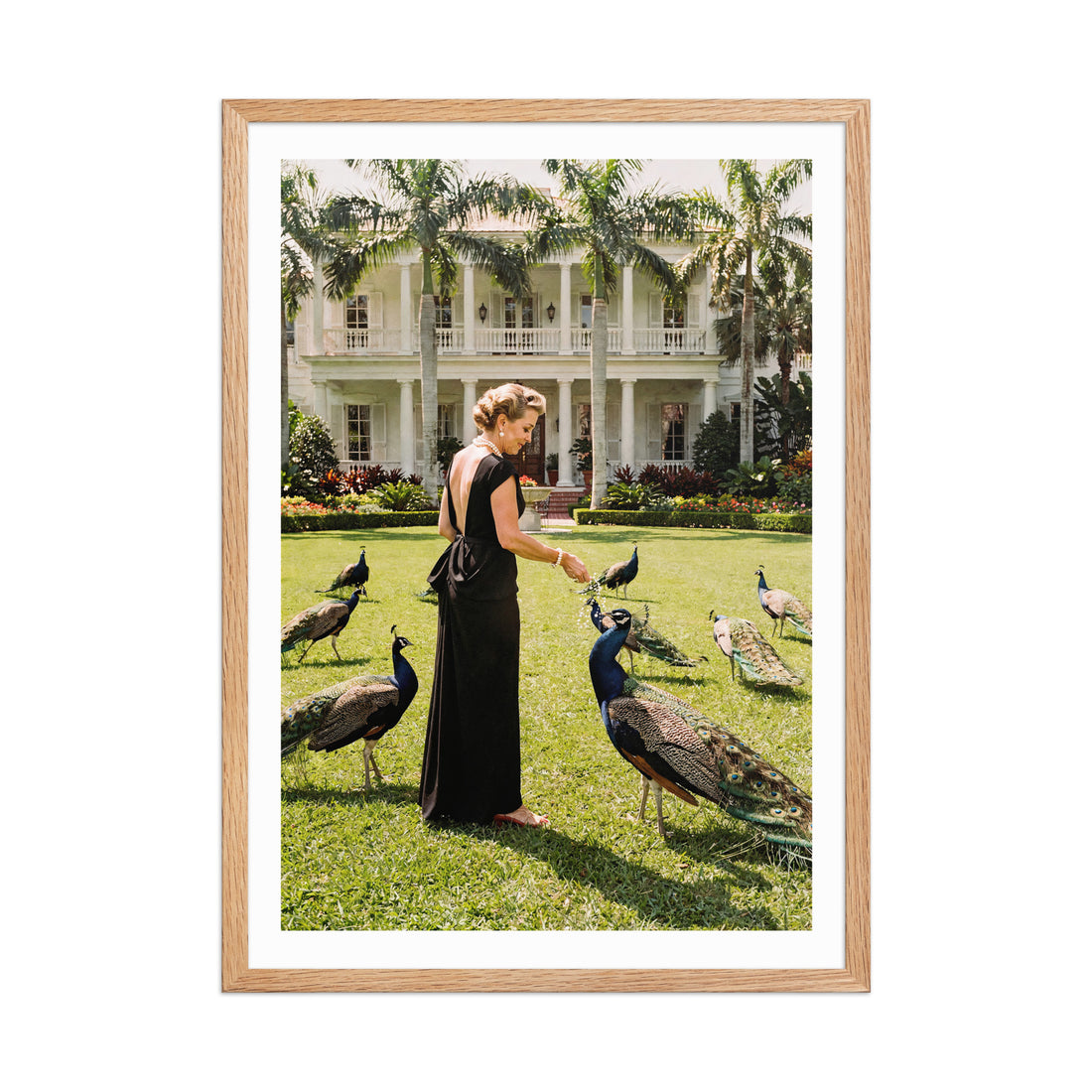Framed photograph of a woman in a black dress interacting with peacocks in front of a large house.
