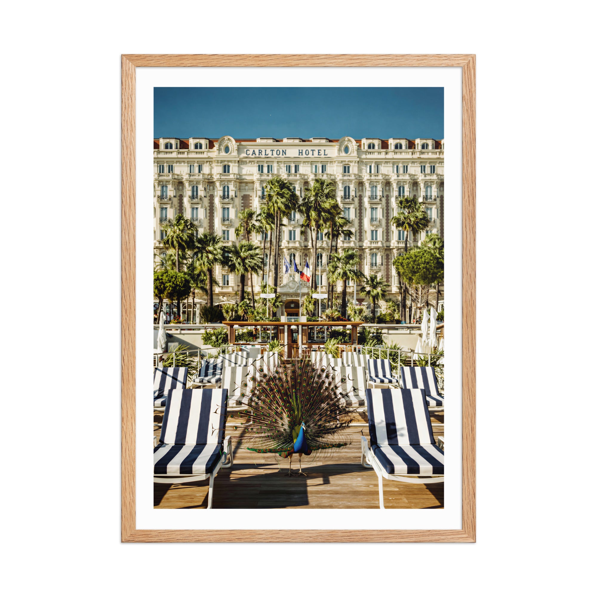 Carlton, Cannes