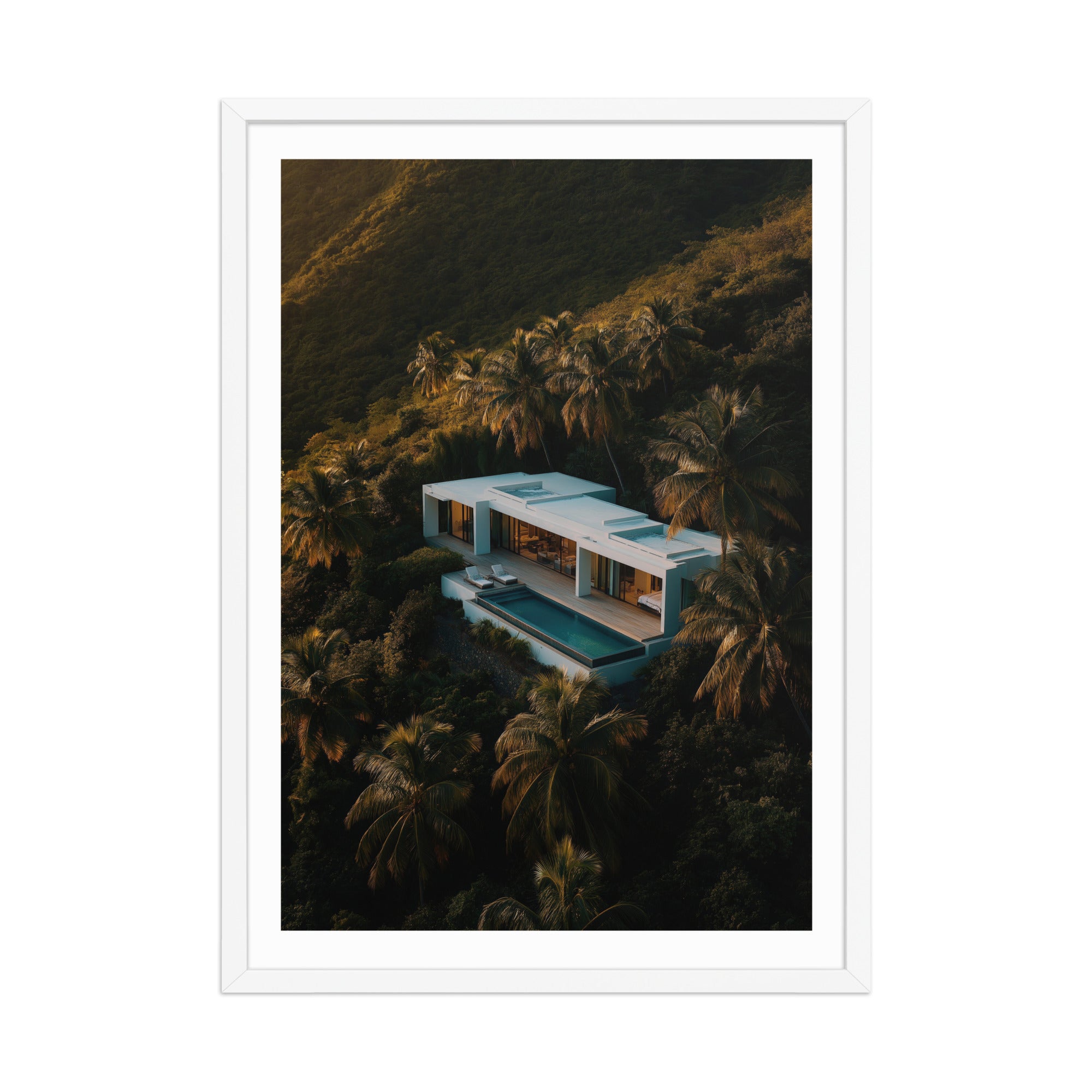 Modern Villa in the Tropics Poster