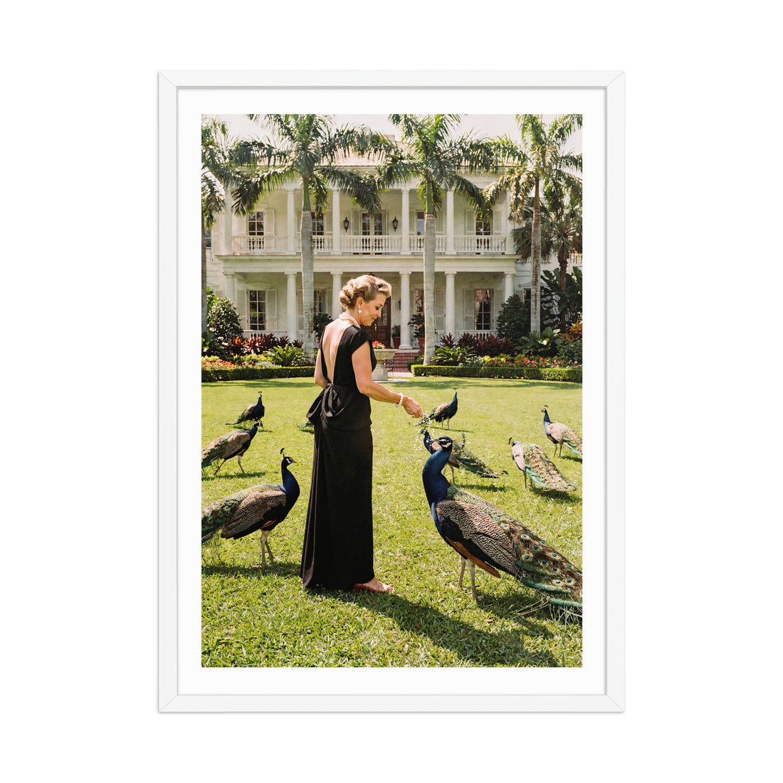 Woman in a black dress feeding peacocks in front of a large white house with palm trees.