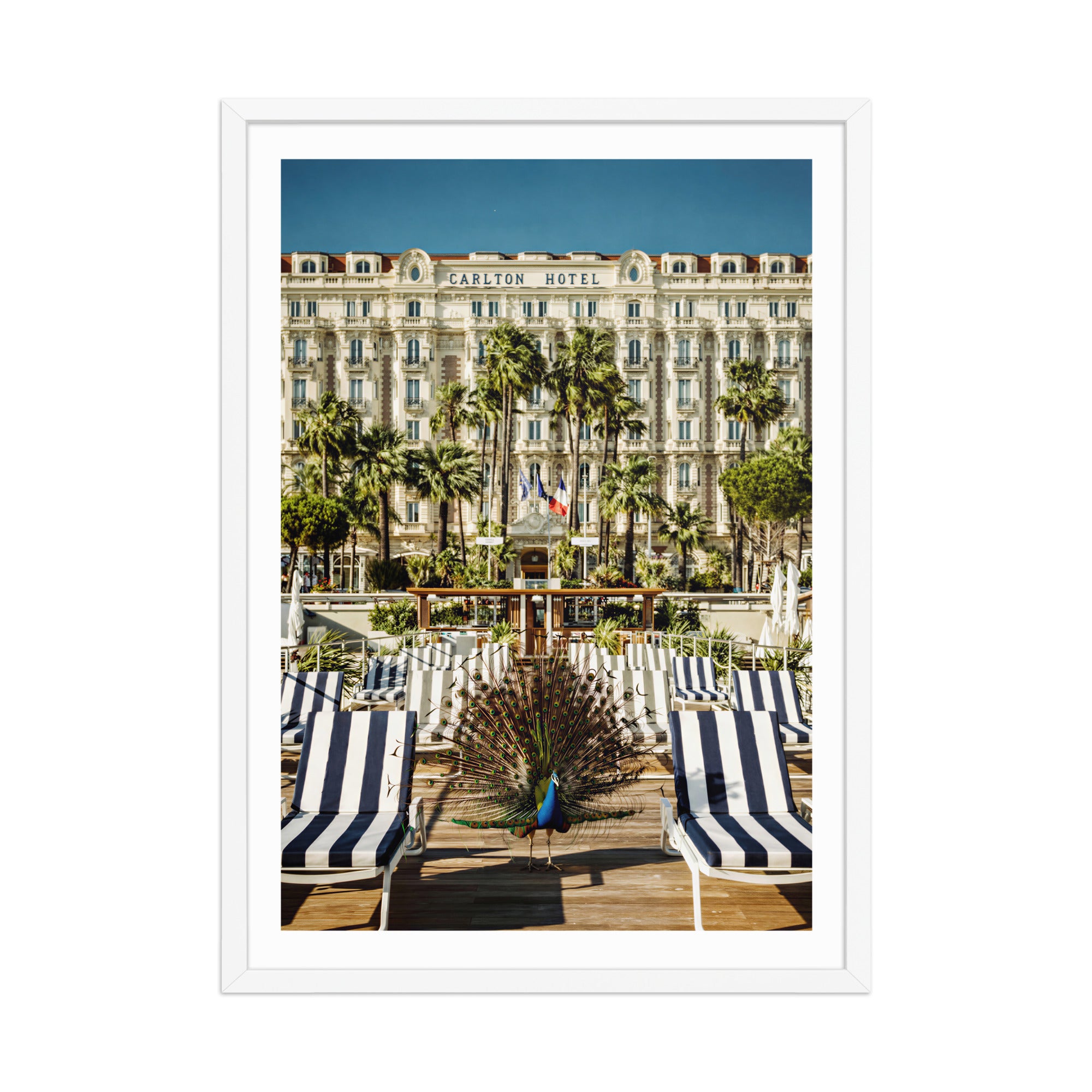 Carlton, Cannes