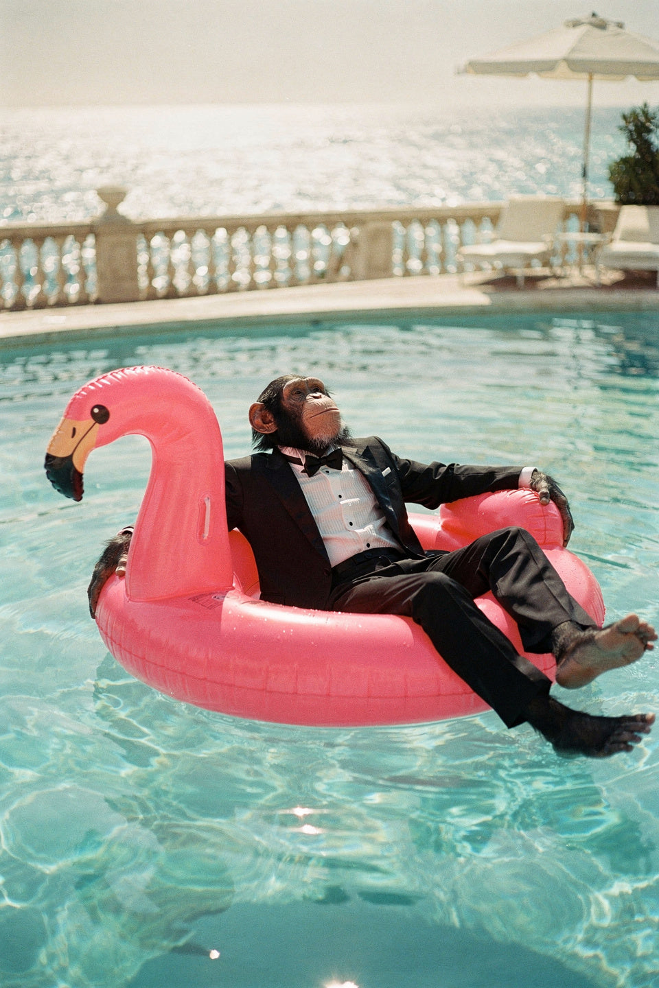 Person in a suit lying on a pink flamingo pool float in a pool.